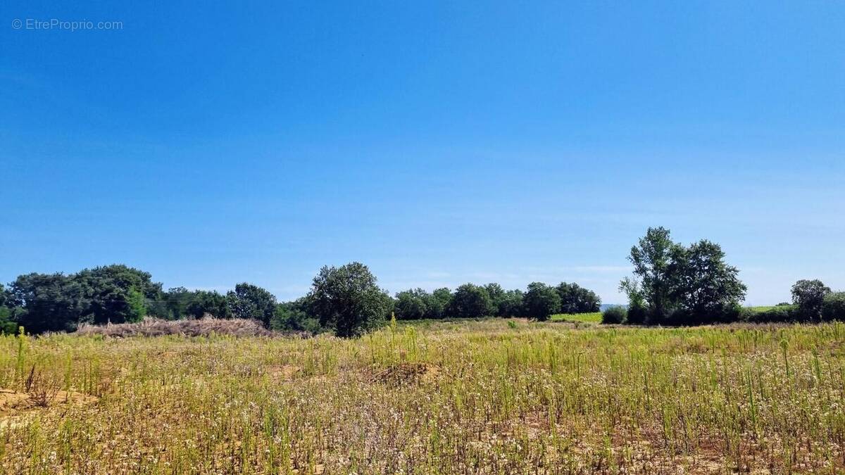 Photo 1 - Terrain à SAVENES