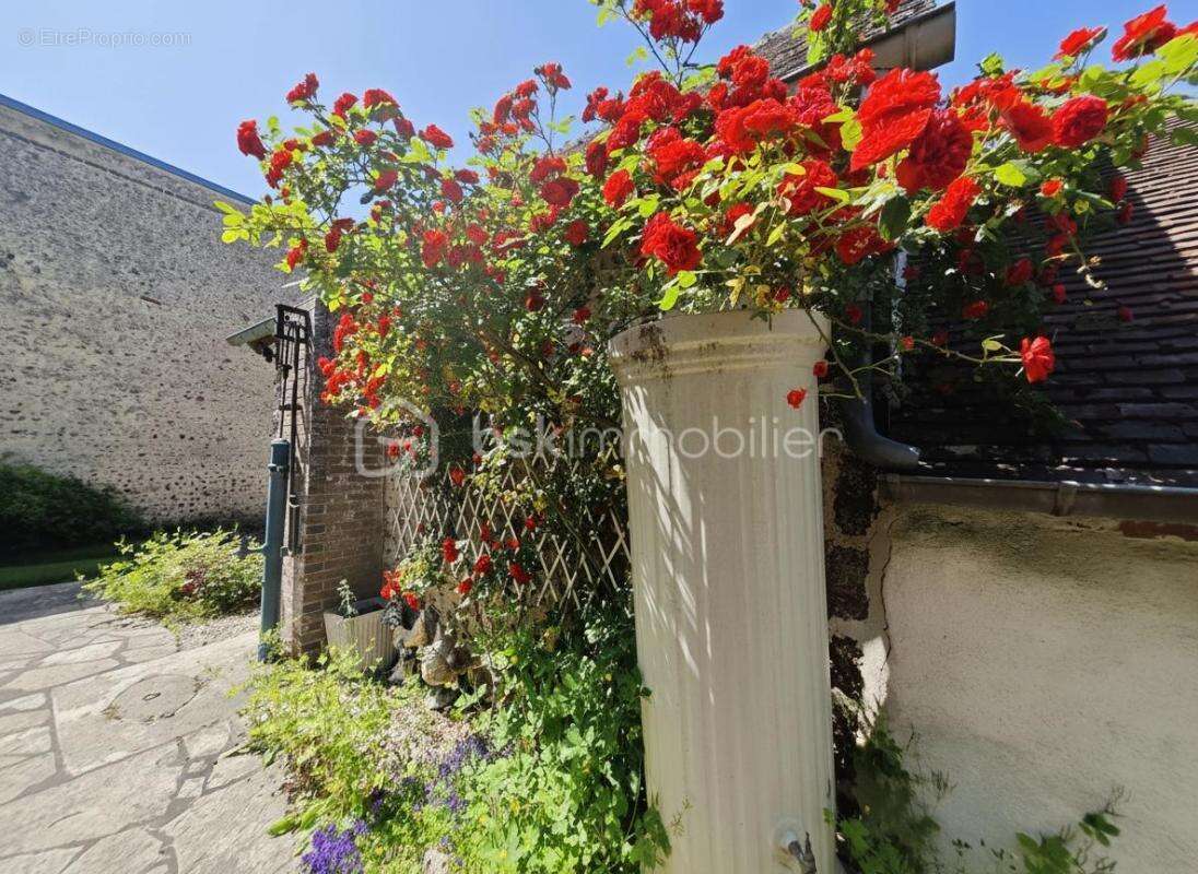 Maison ancienne en pierre de 130 m² avec dépendances sur 2 830 m² de terrain - photo 17