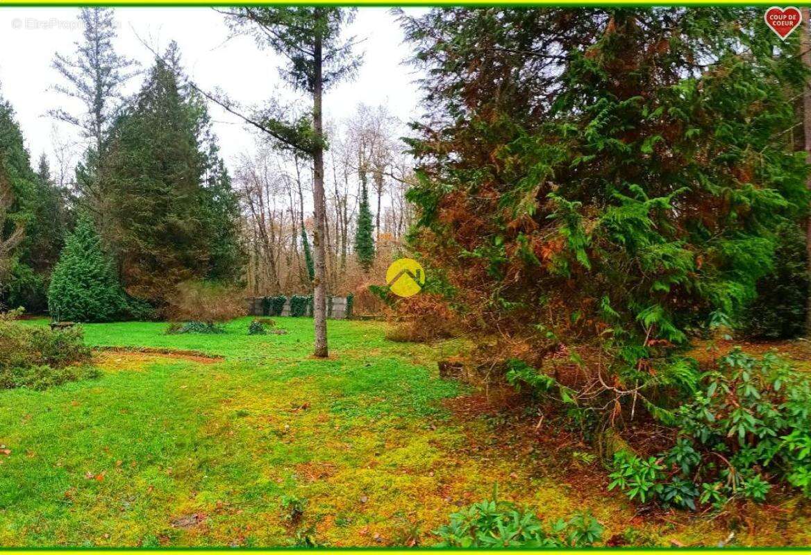 Maison à NEUVY-SUR-BARANGEON