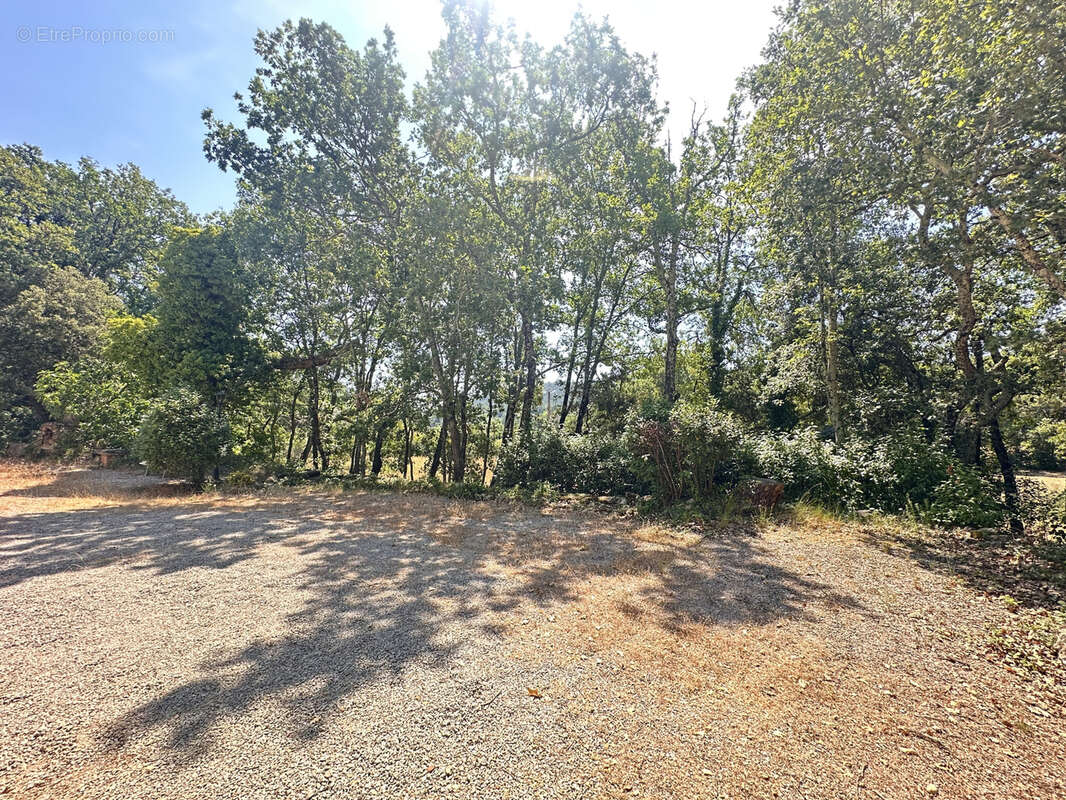 Le Val - A 7 Minutes de l'A8 - Bastide provençale de caractère sur plus de 3 hectares   Piscine   Calme absolu - photo 9