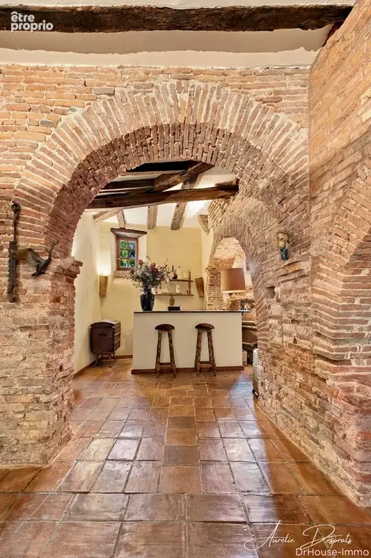 Appartement 8 pièces 290 m² à vendre à Gaillac (81600) - photo 3