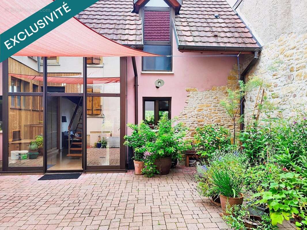 Photo 2 - Appartement à ROUFFACH