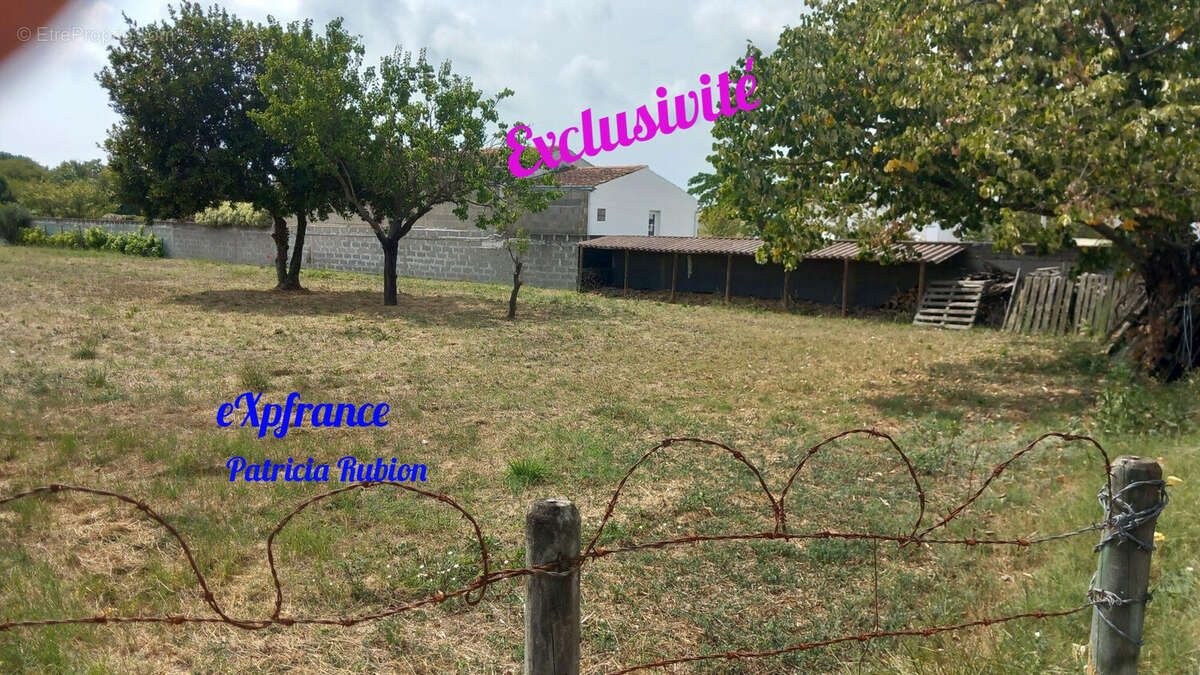 Terrain de 687m2 constructible - Terrain à DOLUS-D'OLERON