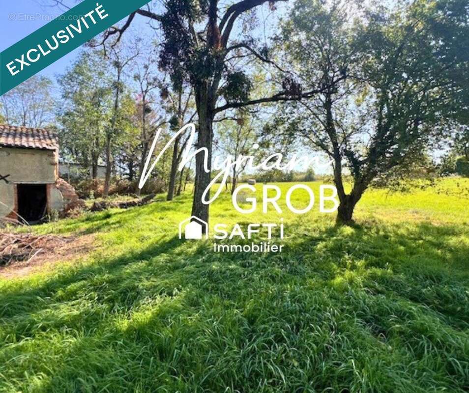 Photo 5 - Terrain à MONTAUBAN