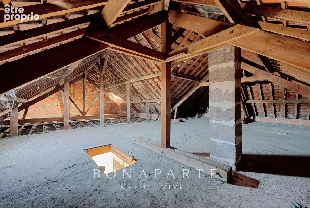 Neuilly-plaisance - propriété d'exception : 3 niveaux avec dépendance sur 700m2 de terrain - photo 10