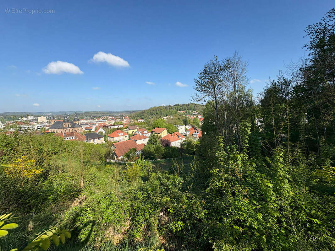Terrain Saint Avold 3801 m2 - photo 11