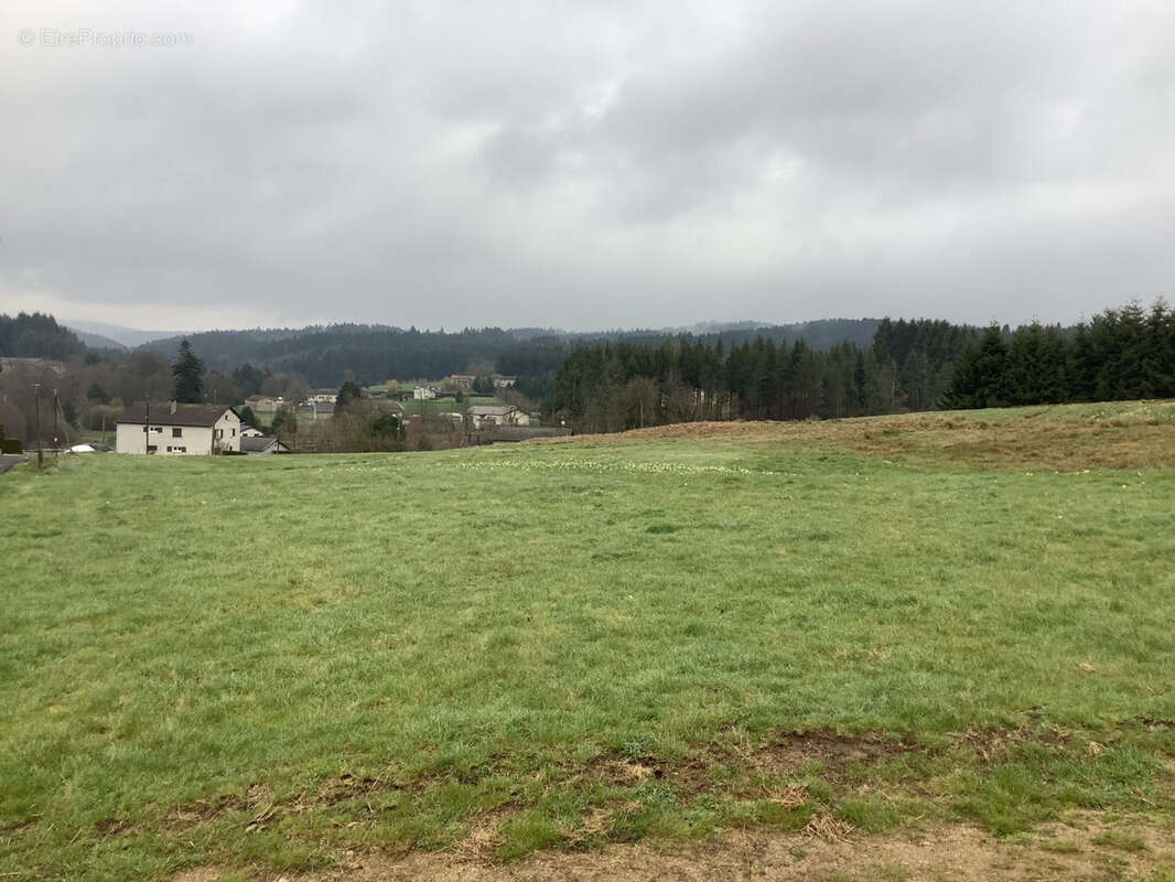 Terrain à TENCE