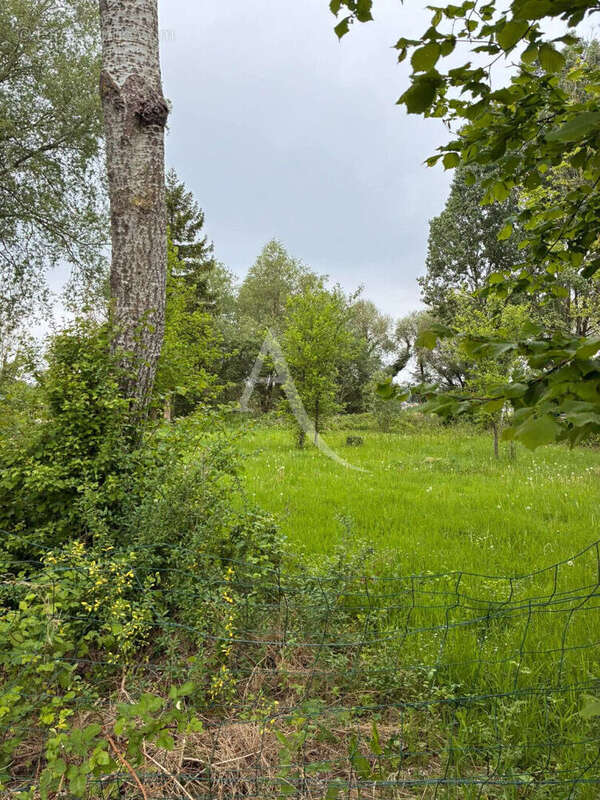 Terrain à VILLERS-SUR-AUTHIE