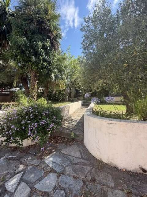 Villa familiale de 203 m² avec 2 logements sur 890 m² de terrain BORGO - photo 7