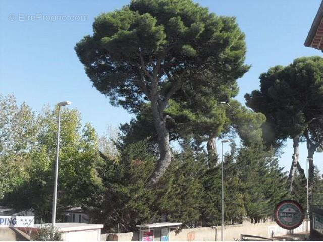 Appartement à SAUVIAN