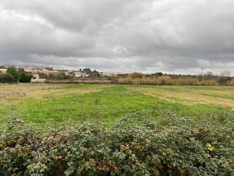 Terrain à PUISSERGUIER
