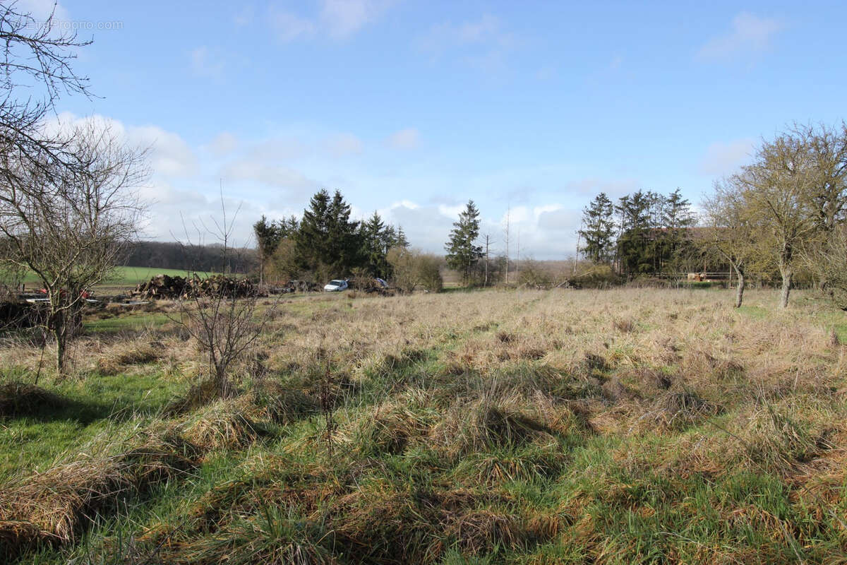 Appartement à ARRIANCE