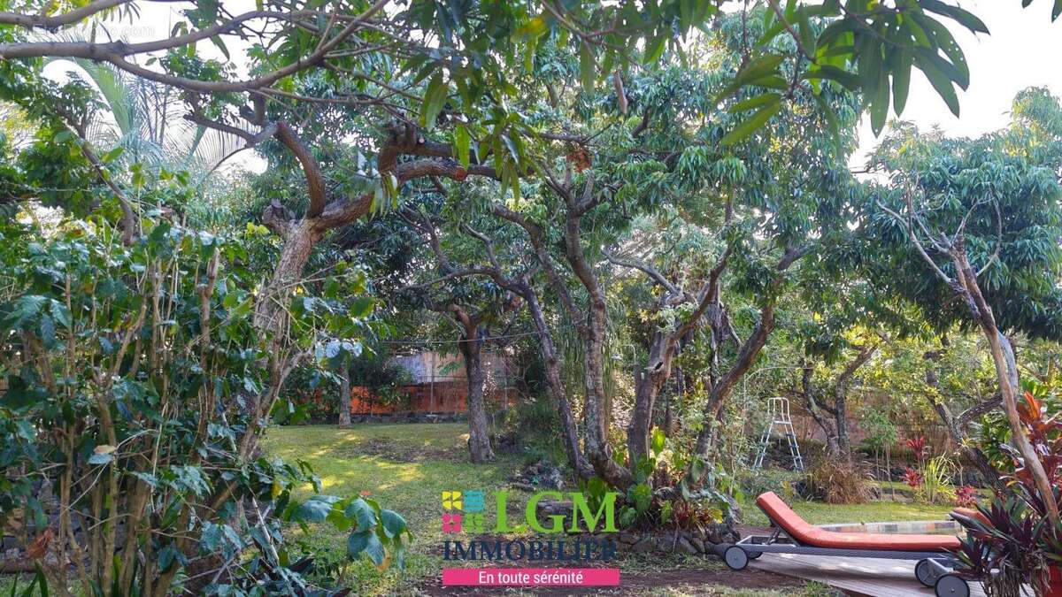 Maison à LA PLAINE-DES-PALMISTES