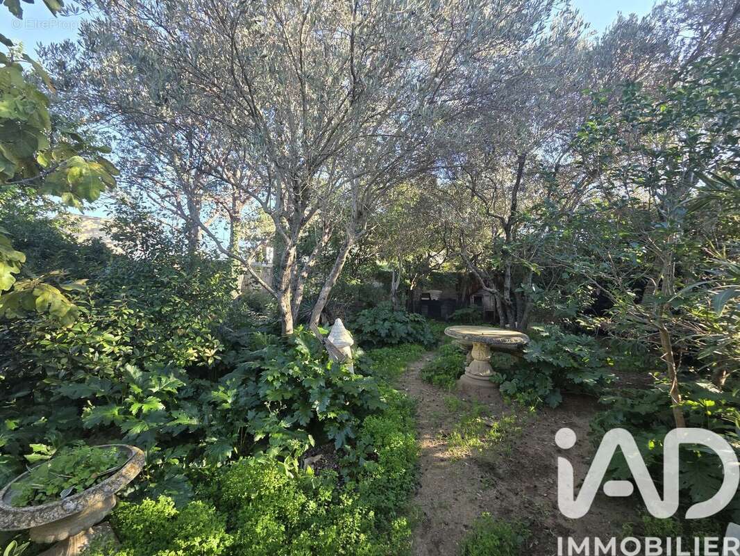 Photo 9 - Maison à ENTRAIGUES-SUR-LA-SORGUE