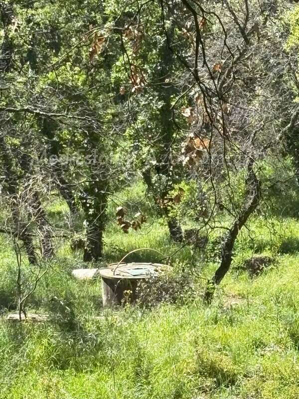 Maison à LA GARDE-FREINET