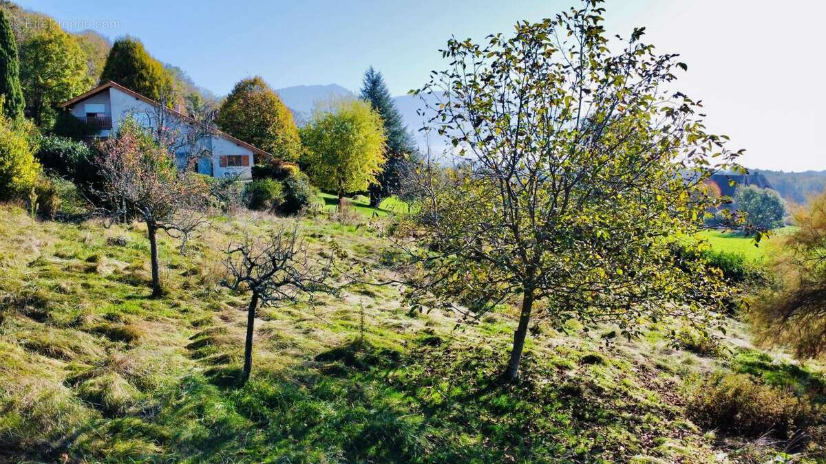 Terrain à LA MURETTE