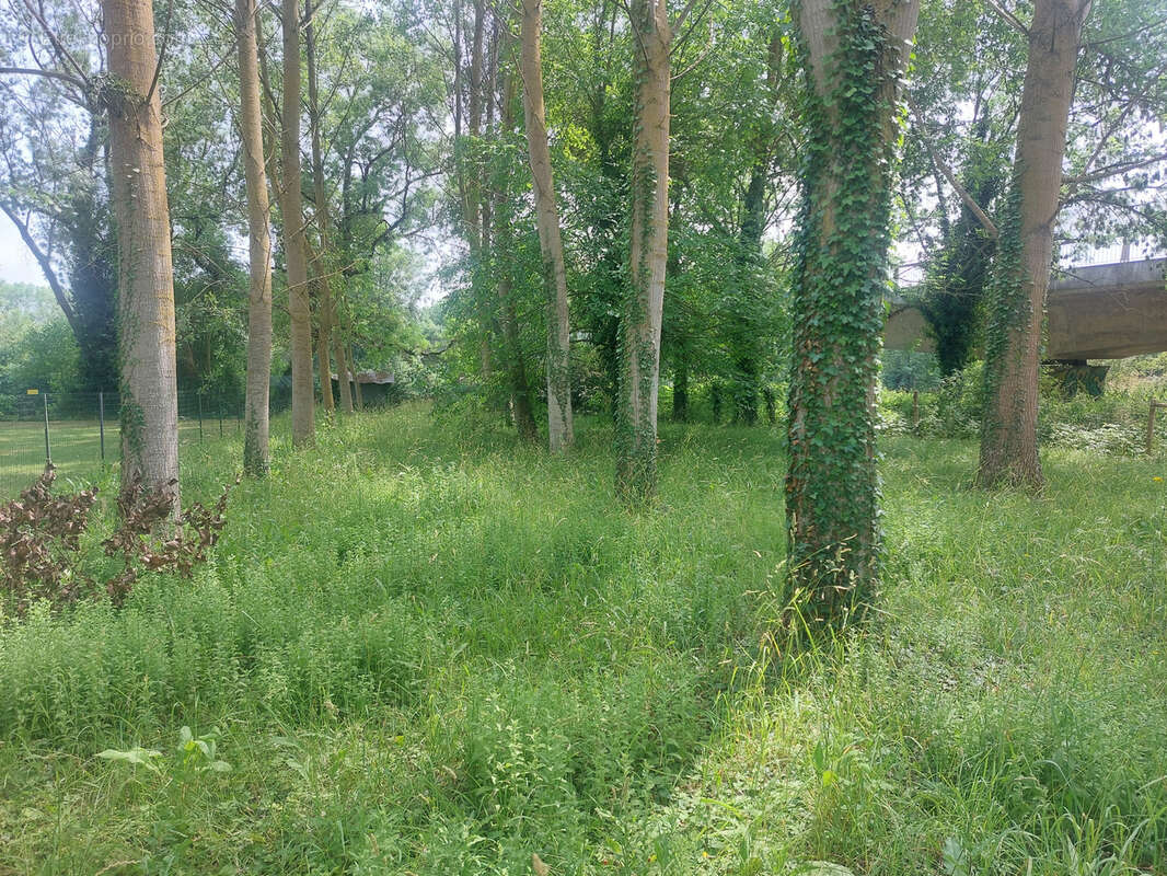 Terrain à LA FLECHE