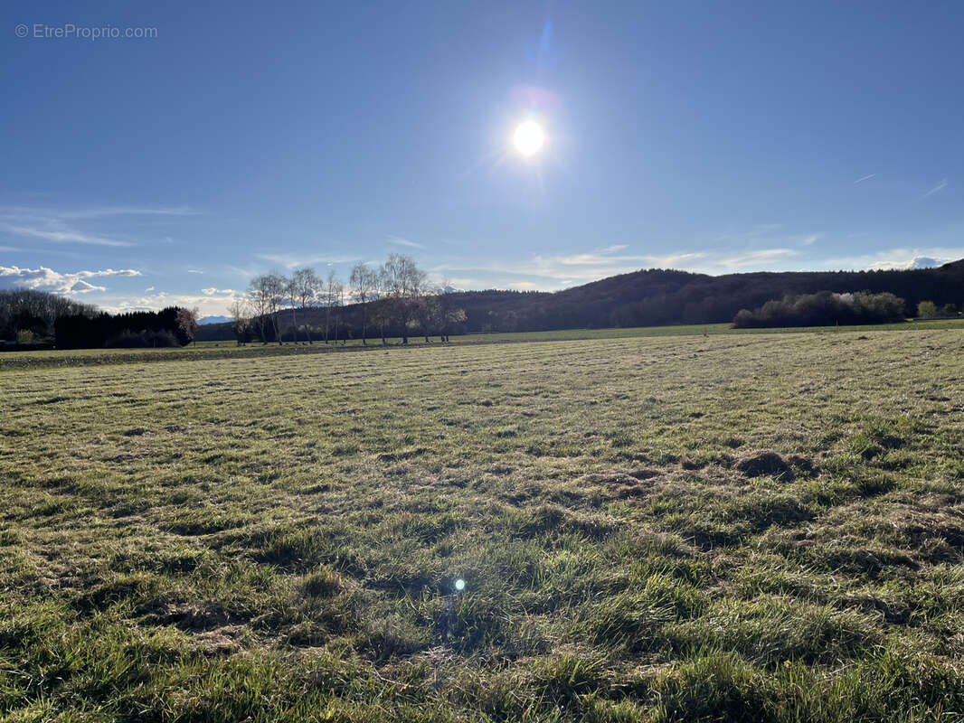 Terrain à OURSBELILLE