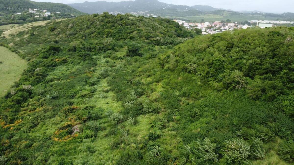 Terrain à LE VAUCLIN