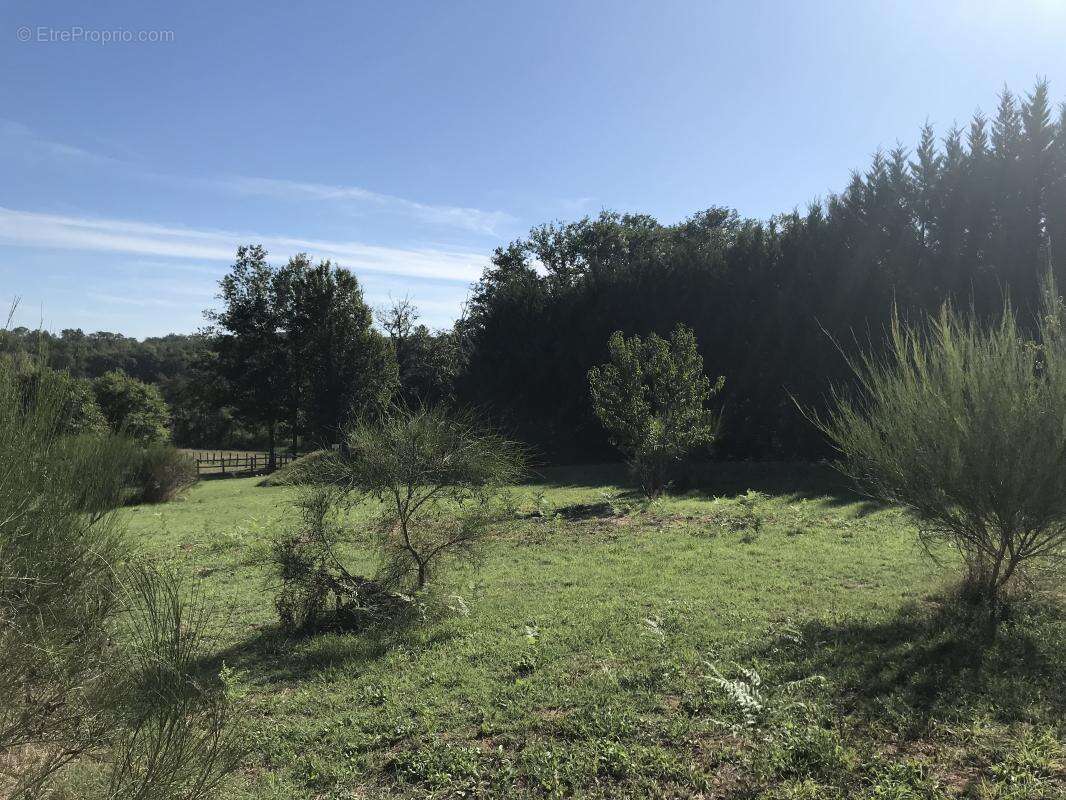 Terrain à GROLEJAC