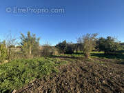 Terrain à BRIATEXTE