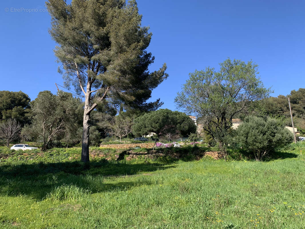 Terrain à LE PRADET