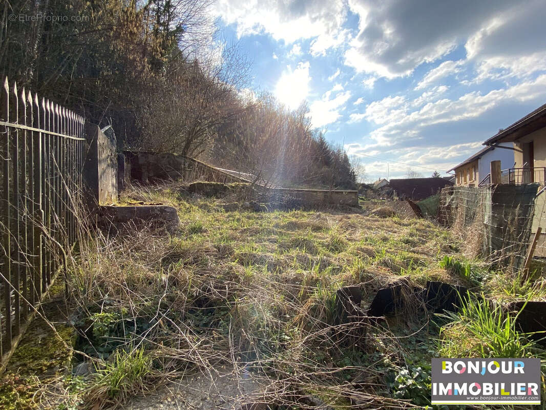 Jardin du logement du 1er étage - Appartement à SAINT-LAURENT-DU-PONT