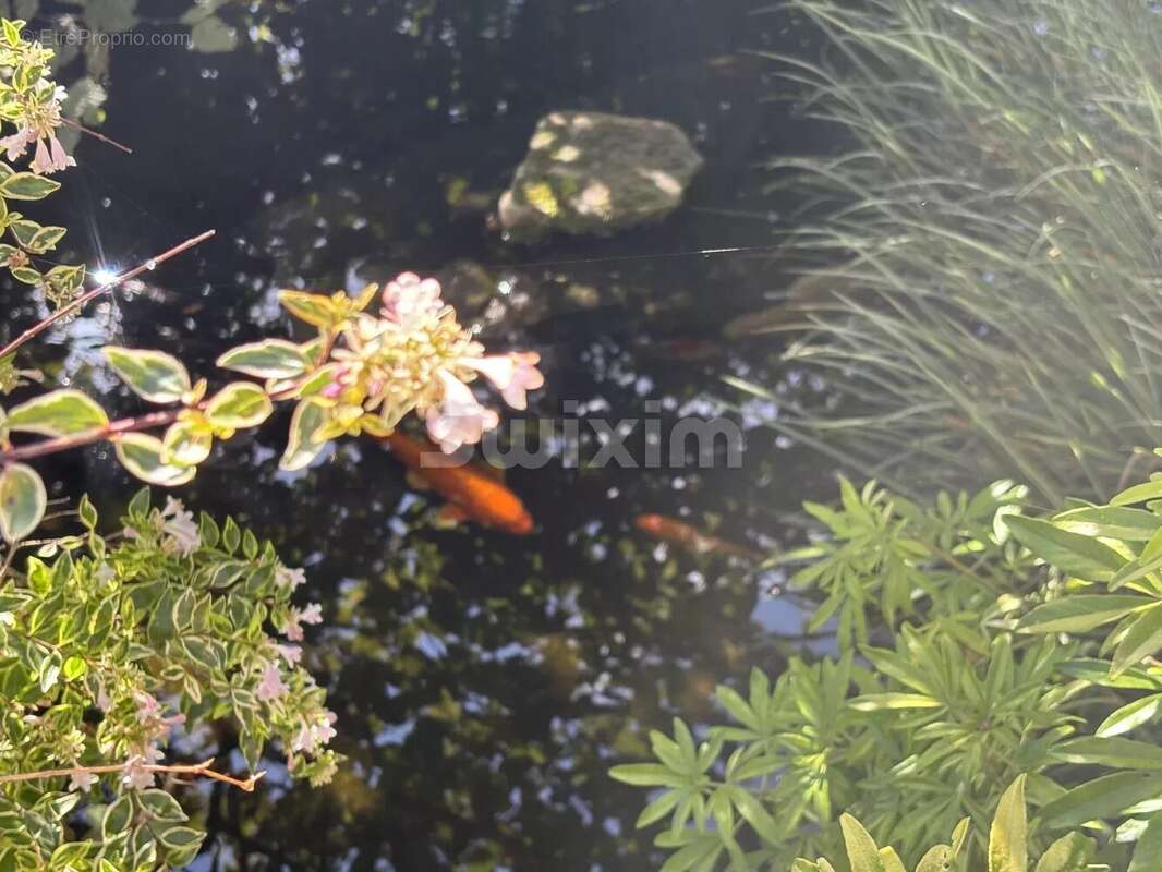 Maison à BARD-LES-EPOISSES