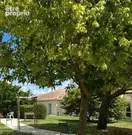 Appartement à SAINT-SULPICE-DE-ROYAN