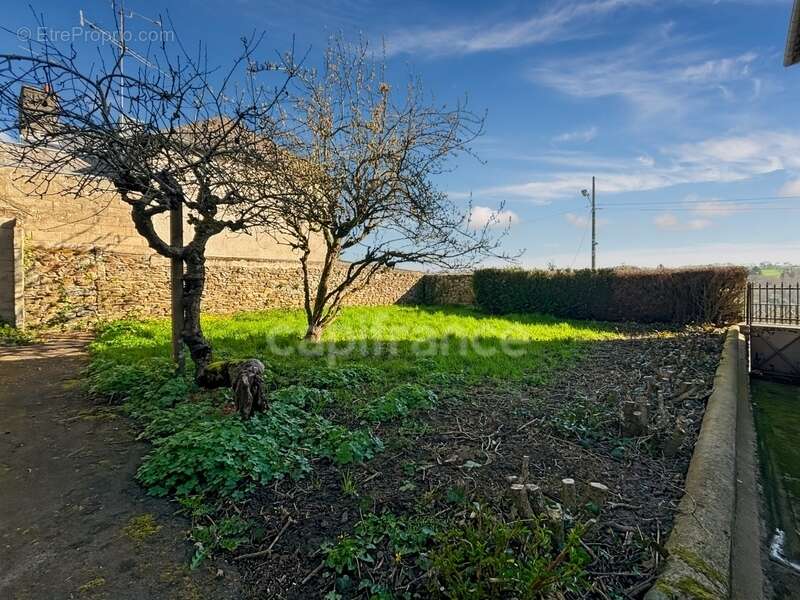 Maison à SAINT-JAMES