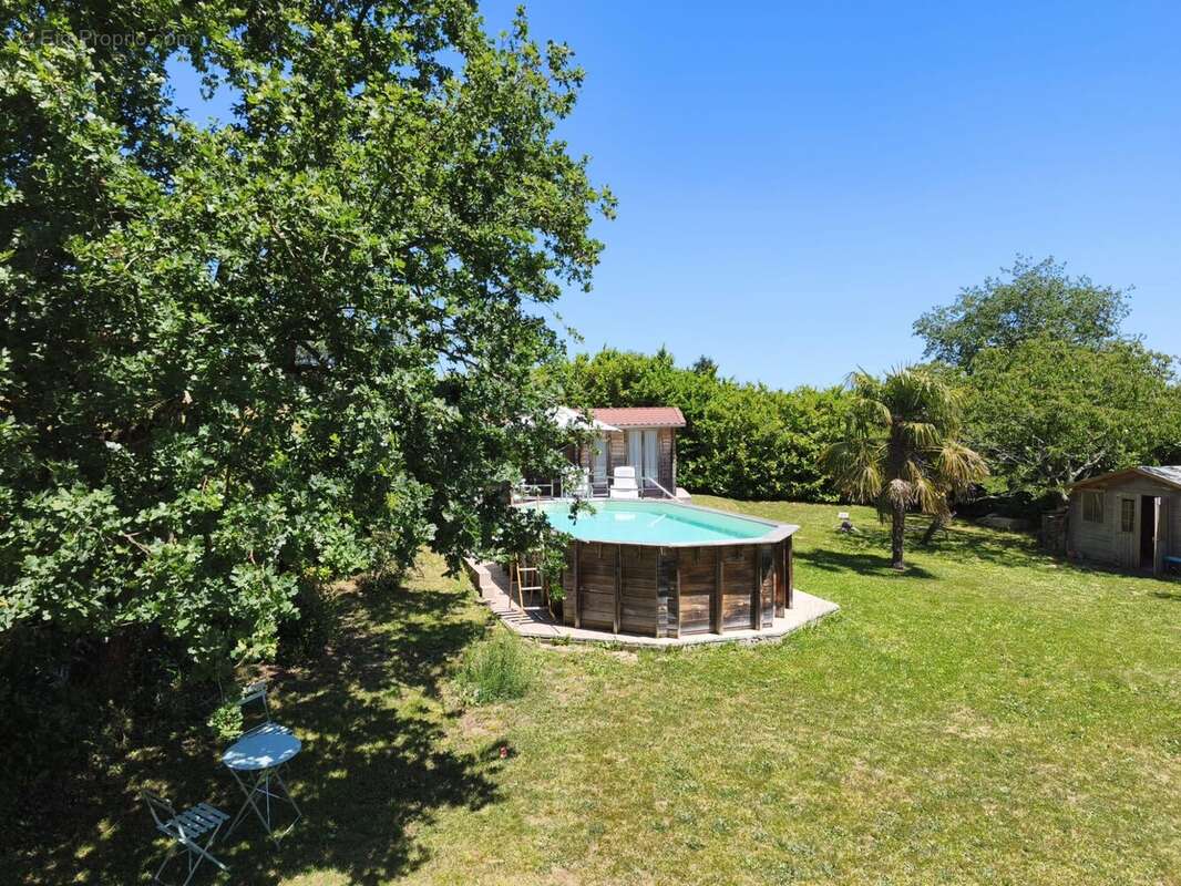 Jardin arboré avec piscine, idéal pour profiter des beaux jours. - Maison à PUYDARRIEUX