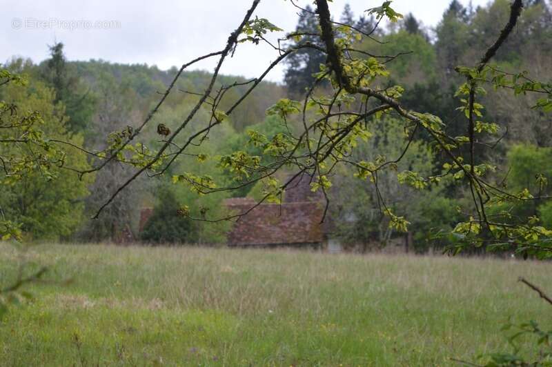 Maison à PAYZAC
