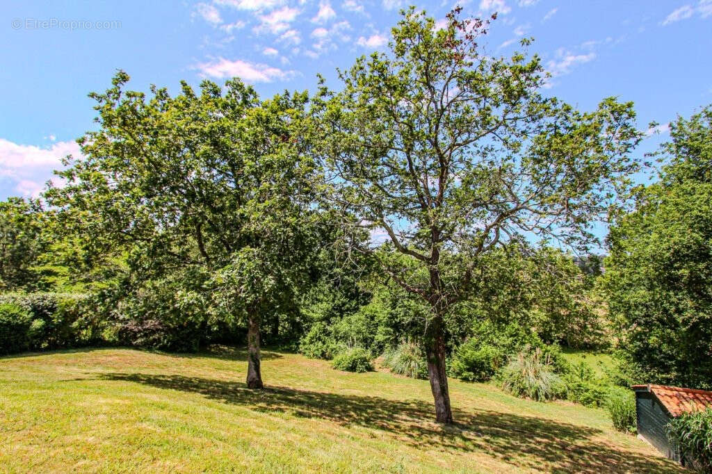 Maison à BASSUSSARRY