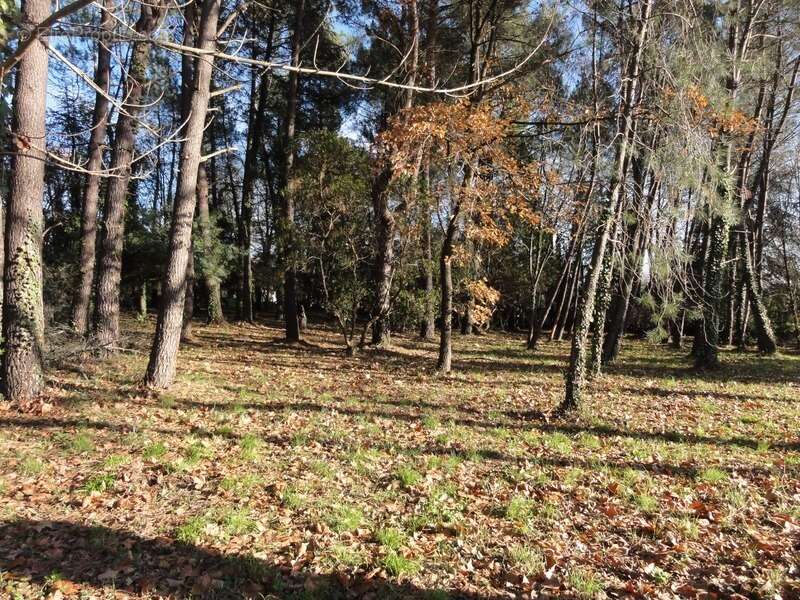 Terrain à VILLEPINTE