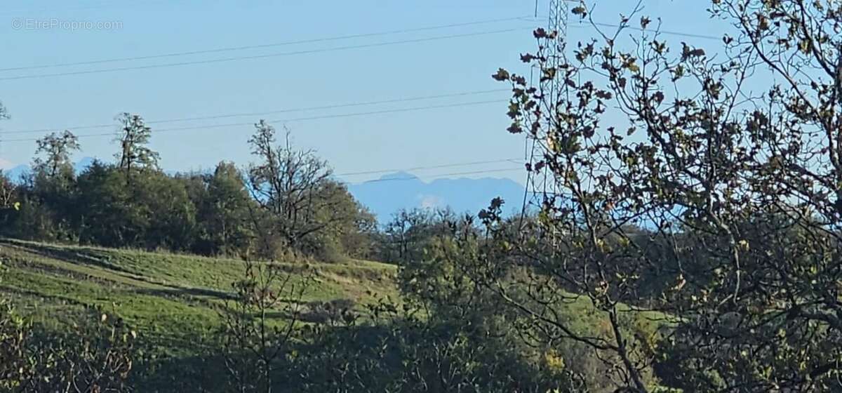 Terrain à PESSAN