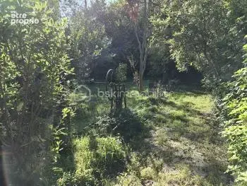 Le charme authentique 2 Maisons spacieuses et terrain à Le Teil - photo 10