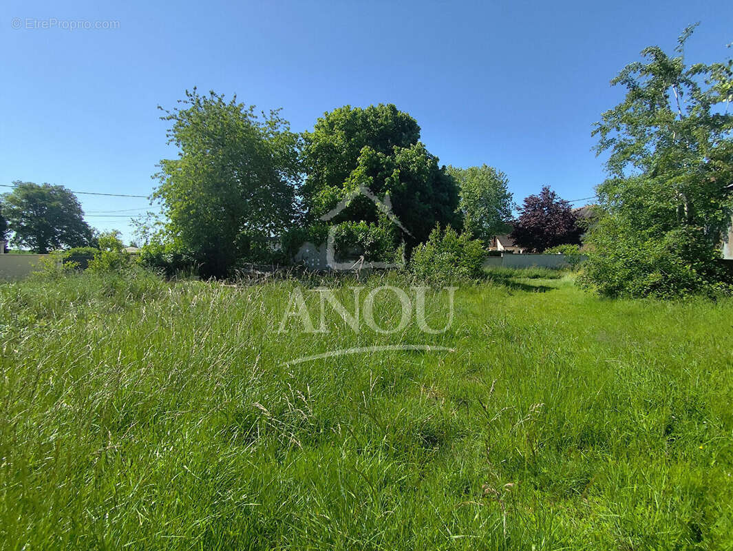Maison 3 pieces 50m2 à rénover avec grand terrain au calme - photo 13