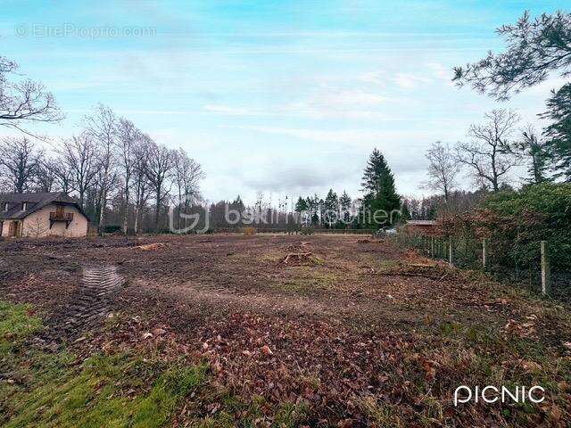 Terrain constructible - LA FERTE EN OUCHE - photo 4