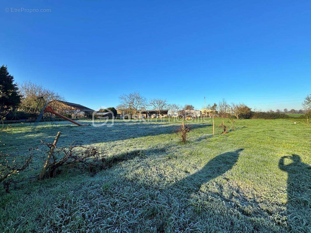 Maison à SAINT-MAURICE-DES-NOUES