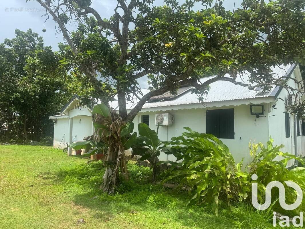 Photo 1 - Maison à BAIE-MAHAULT