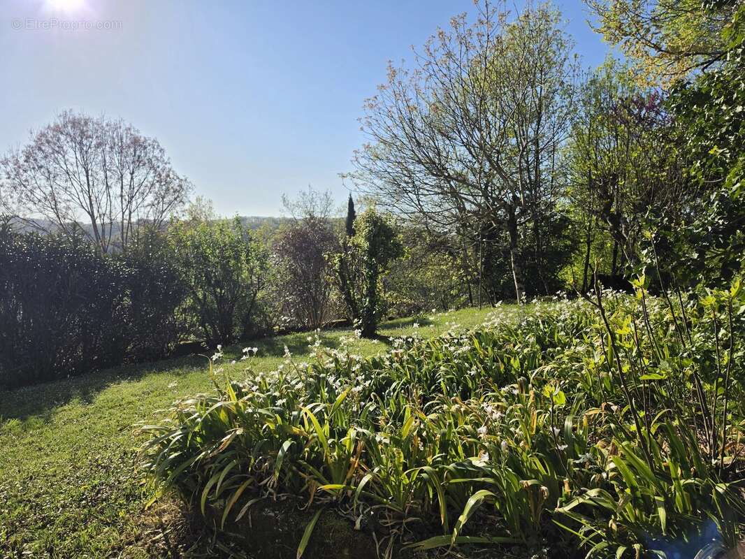 Maison à MONTAIGU-DE-QUERCY