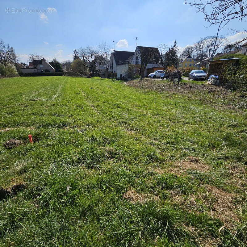 Terrain à HEGENHEIM