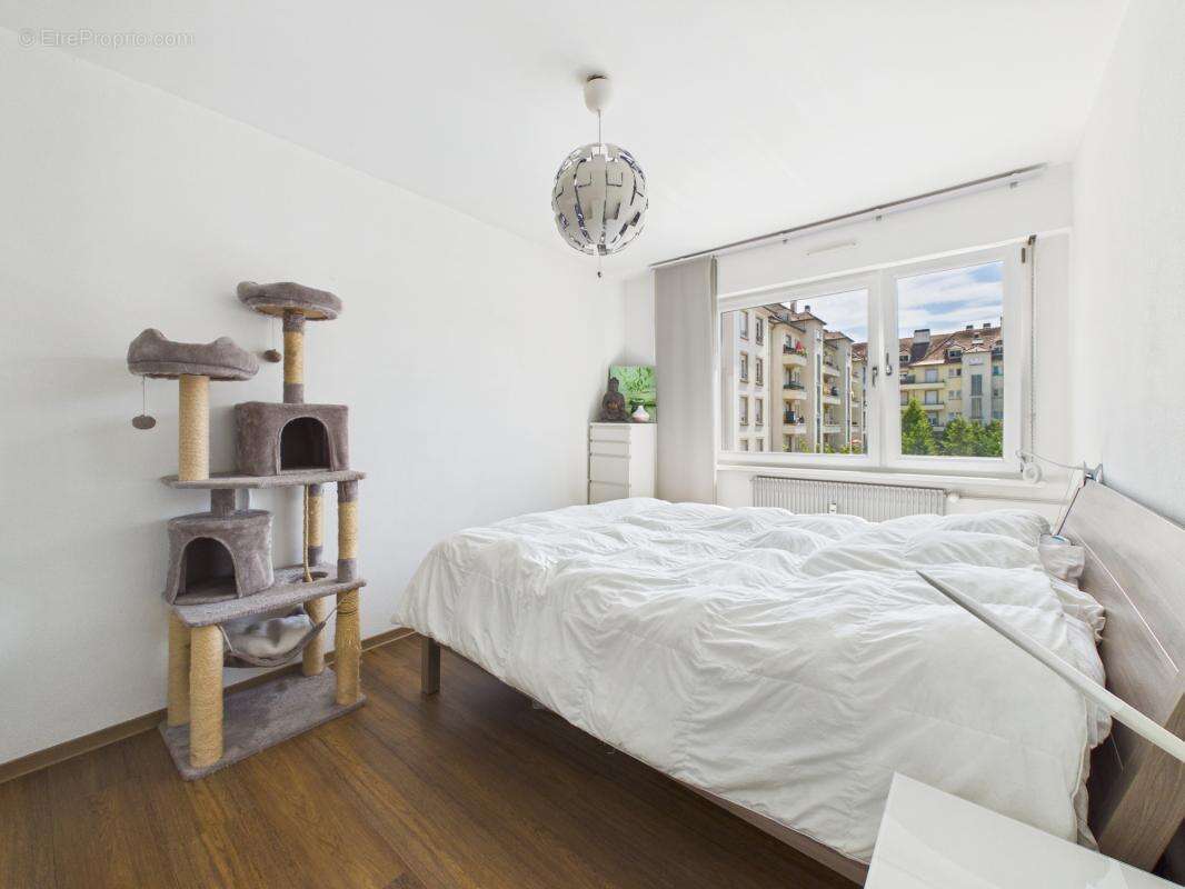 Rue de Bale - 4 pièces - 73m²- Coeur du Neudorf - Cave - Terrasse - photo 11