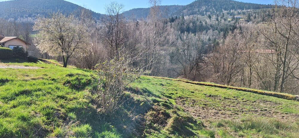 Terrain à VENTRON