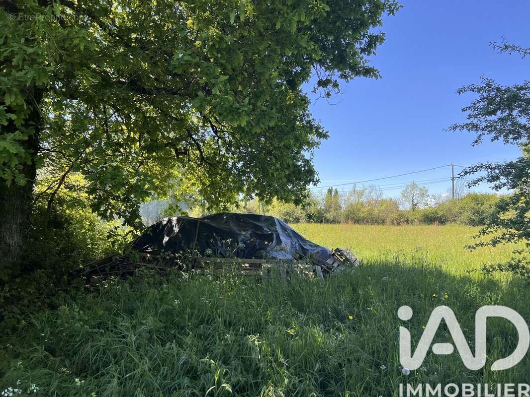 Photo 9 - Terrain à CHARROUX