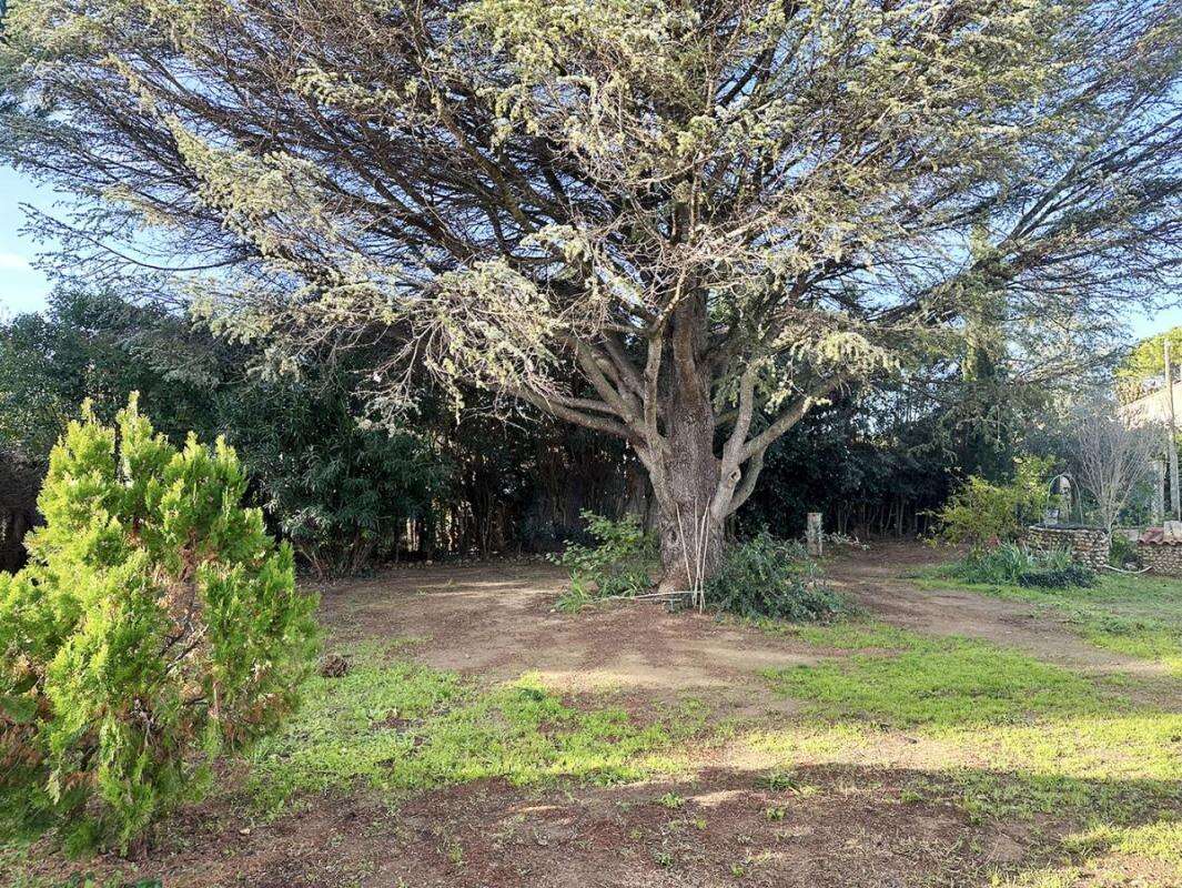 Maison à SAINT-ANDRE-DE-SANGONIS
