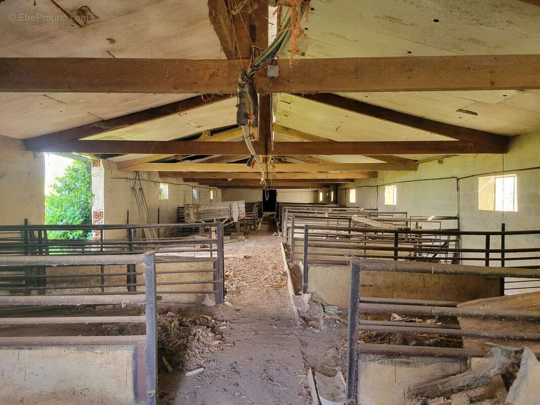 Maison à LA FOUILLADE