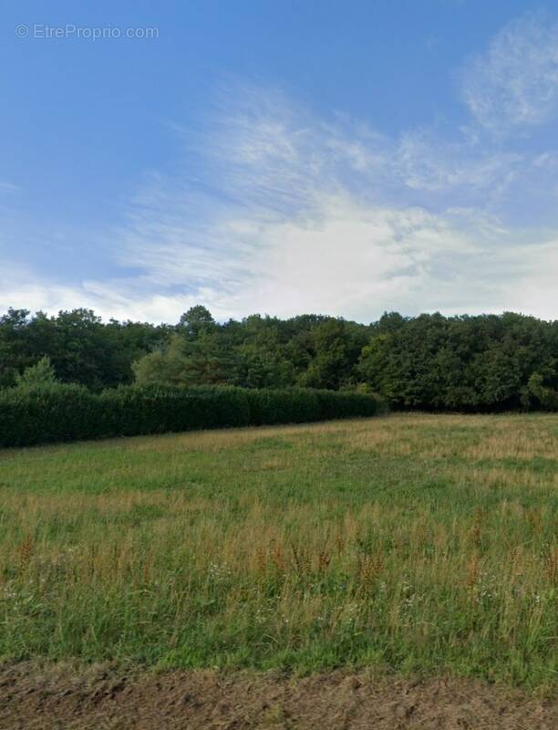 Terrain à SAINT-SULPICE-DE-FAVIERES