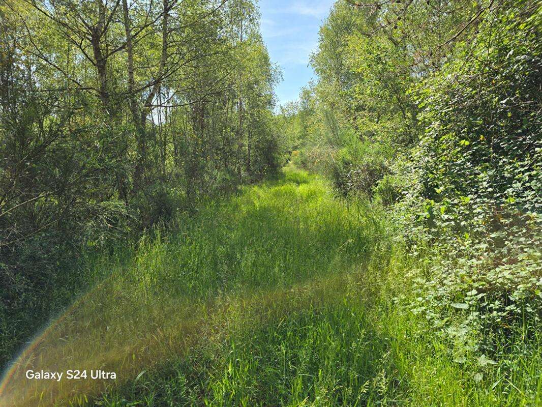 Terrain à MONTEREAU