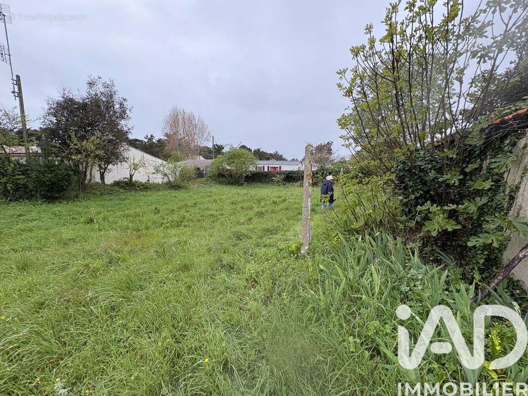 Photo 2 - Terrain à NOTRE-DAME-DE-MONTS